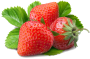 Pure Fruits